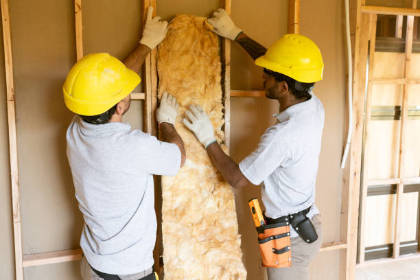 Professional Insulation Services in Grandwood Park, IL